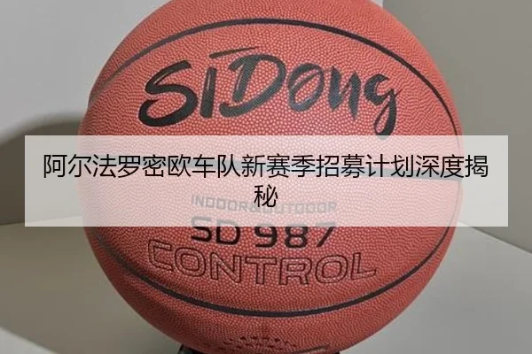 阿尔法罗密欧车队新赛季招募计划深度揭秘